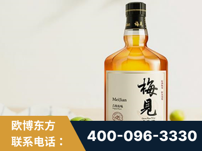 霍林郭勒-梅见青梅酒